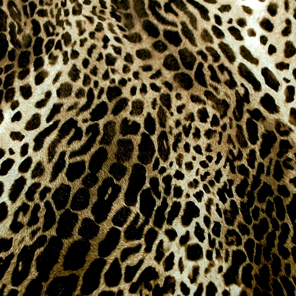 お値打ち ダブル巾（148cm巾）の ナイロンタフタ ひょう柄 ダーク