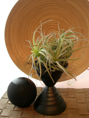 レクルビフォア黒幻つづみとセット