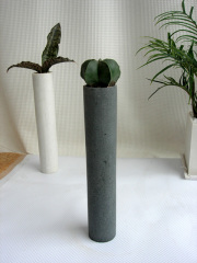 アストロフィツム・ランポウ　パウダーストーン