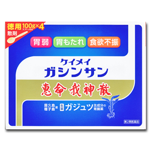 【第2類医薬品】恵命我神散 けいめいがしんさん 散剤 徳用 100g×4 スプーン付き