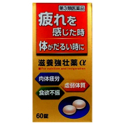 【第3類医薬品】皇漢堂製薬 滋養強壮薬α 60錠