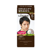 マンダム ルシード ワンプッシュケアカラー ダークブラウン 医薬部外品