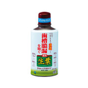 薬用 生葉 デンタルリンス 330ml 【液体ハミガキ】 医薬部外品
