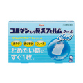 【第2類医薬品】コルゲンコーワ鼻炎フィルムクール 9枚入