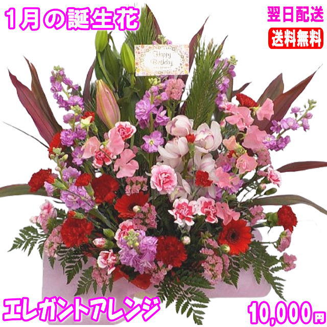 1月の誕生花★エレガントアレンジ10,000円【送料無料】【写真付きメッセージ選択可】ネット特価！！