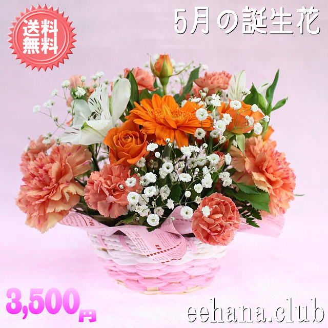 5月の誕生花★オレンジアレンジ3,500円【送料無料】花言葉付き【写真付きメッセージ選択可】ネット特価！