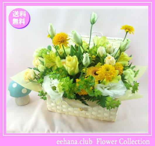 7月の誕生花★イエロー宝石箱アレンジ4,000円【送料無料】花言葉付き【トルコキキョウ】【写真付きメッセージ選択可】