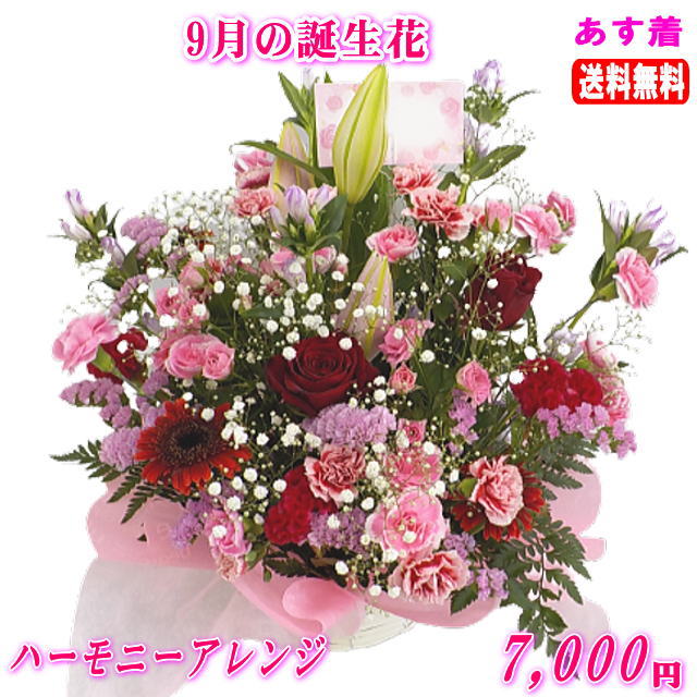9月の誕生花★ハーモニーアレンジ7,000円【送料無料】【りんどう】【写真付きメッセージ選択可】ネット特価！！