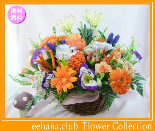 10月の誕生花★オータムアレンジ5,000円【送料無料】花言葉付き【ガーベラ】【写真付きメッセージ選択可】ネット特価！！