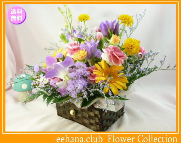 10月の誕生花★宝箱アレンジ3,500円【送料無料】花言葉付き【ガーベラ】【写真付きメッセージ選択可】ネット特価！！