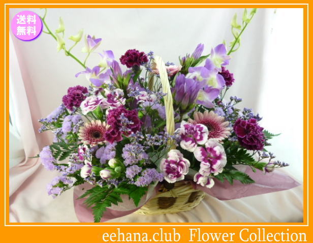 10月の誕生花★パープルアレンジ6,000円【送料無料】花言葉付き【ガーベラ】【写真付きメッセージ選択可】ネット特価！！