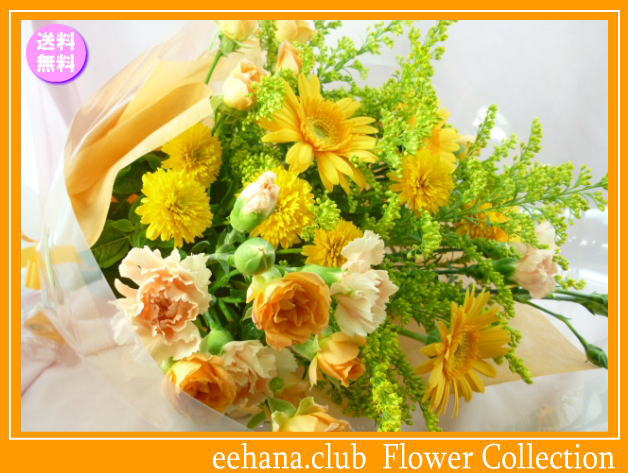 10月の誕生花★ビタミンオレンジ花束3,500円【送料無料】花言葉付き【ガーベラ】【写真付きメッセージ選択可】ネット特価！！