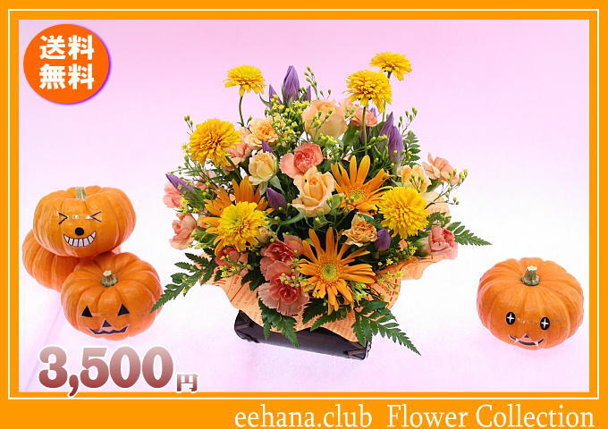 10月の誕生花★ビタミンオレンジアレンジ3,500円【送料無料】花言葉付き【ガーベラ】【写真付きメッセージ選択可】ネット特価！！