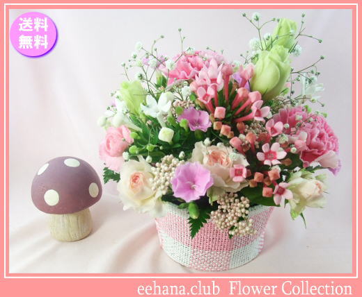 11月の誕生花★ピンクアレンジ花言葉付き3,500円【送料無料】【ブバリア】【写真付きメッセージ選択可】