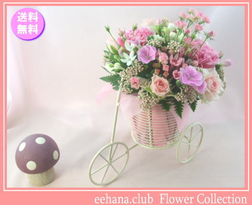 11月の誕生花★サイクルアレンジ4,000円【送料無料】花言葉付き【ブバリア】【写真付きメッセージ選択可】