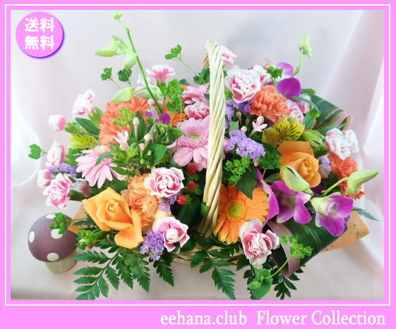 12月の誕生花★バスケットアレンジ5,000円【送料無料】【デンファレ】【写真付きメッセージ選択可】ネット特価！