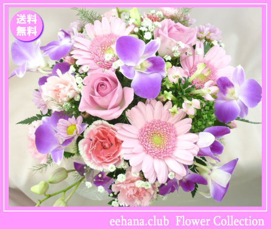 12月の誕生花★ピンクアレンジ3,500円【送料無料】【デンファレ】【写真付きメッセージ選択可】ネット特価！