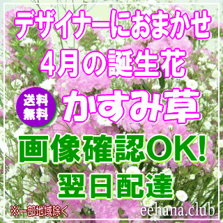 4月の誕生花★デザイナーにおまかせ15,000円【送料無料】【かすみ草】【フラワーアレンジ・花束】ネット特価！