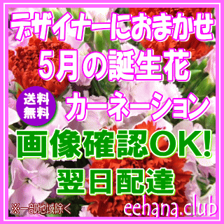 5月の誕生花★デザイナーにおまかせ12,000円【送料無料】【かすみ草】【フラワーアレンジ・花束】ネット特価！