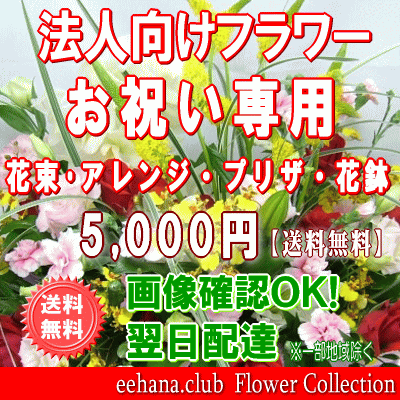 法人向けフラワー★お祝い花専用フラワー5,000円【送料無料】【画像閲覧OK！】【カード付】【アレンジ・花束・プリザ・はちもの】