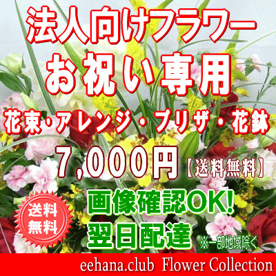 法人向けフラワー★お祝い花専用フラワー7,000円【送料無料】【画像閲覧OK！】【カード付】【アレンジ・花束・プリザ・はちもの】
