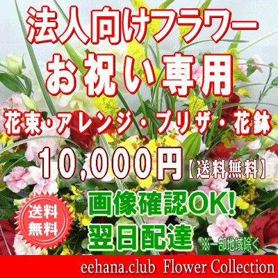 法人向けフラワー★お祝い花専用フラワー10,000円【送料無料】【画像閲覧OK！】【カード付】【アレンジ・花束・プリザ・はちもの】