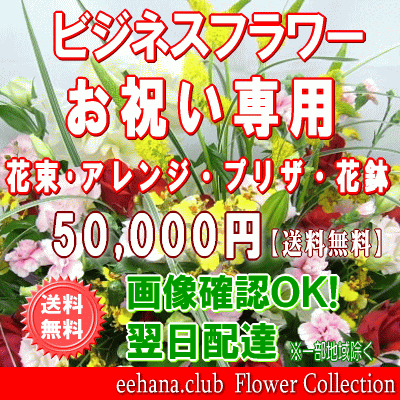 ビジネスフラワー★お祝い専用フラワー【開店・新築・退職・ＯＰＥＮ】花束・アレンジ・はちもの