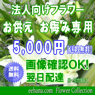 法人向けフラワー★お供え・お悔やみに贈る花★デザイナーにおまかせ5,000円【送料無料】【法事 お供え お盆 お彼岸 アレンジ 花束】