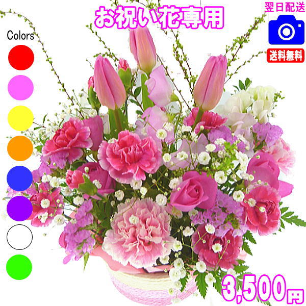 お祝い花専用フラワー3,000円【送料無料】【画像閲覧OK！】【カード付】開店・退職・結婚祝い・新築・出産 フラワー即日発送