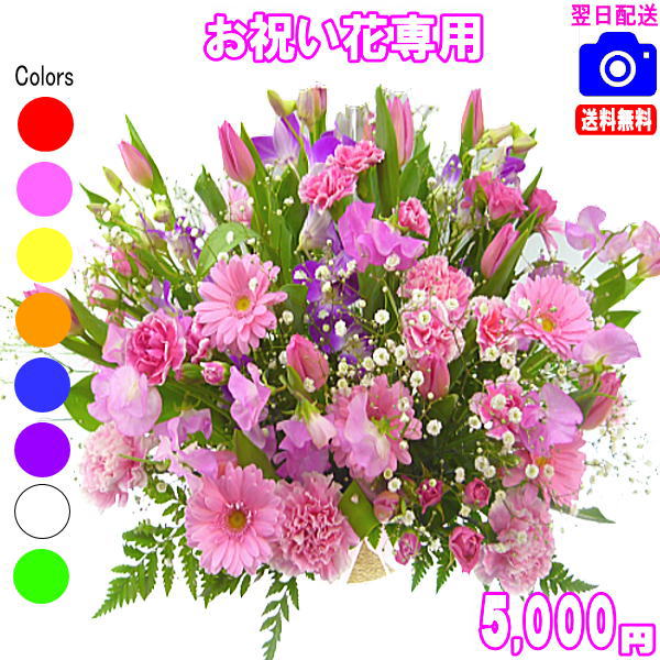 お祝い花専用フラワー5,000円【送料無料】【画像閲覧OK！】【カード付】開店・退職・結婚祝い・新築・出産 フラワー即日発送