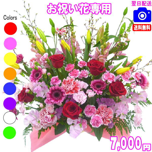 お祝い花専用フラワー7,000円【送料無料】【画像閲覧OK！】【カード付】開店・退職・結婚祝い・新築・出産 フラワー即日発送