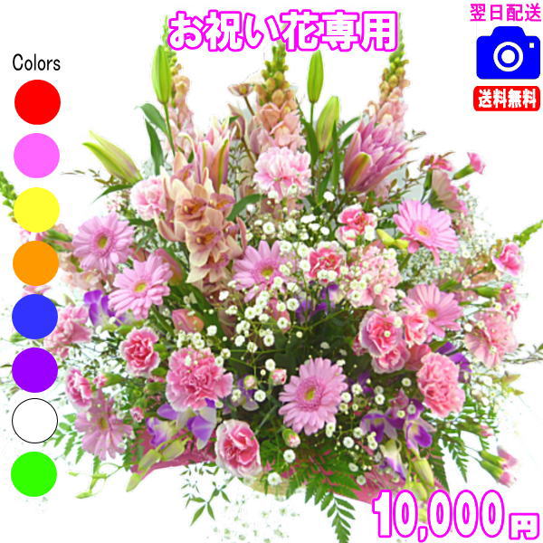 お祝い花専用フラワー10,000円【送料無料】【画像閲覧OK！】【カード付】開店・退職・結婚祝い・新築・出産 フラワー即日発送