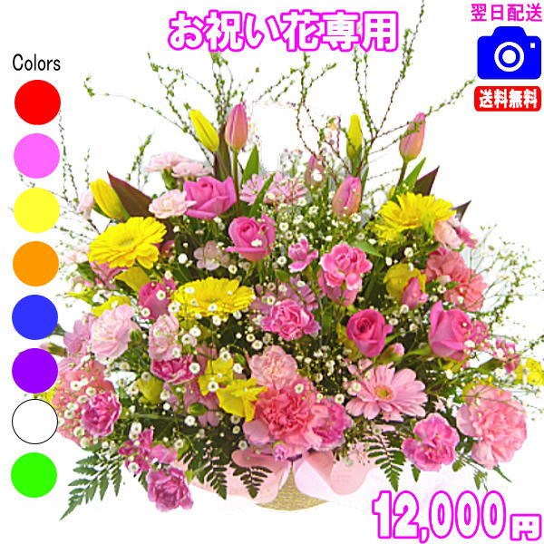 お祝い花専用フラワー12,000円【送料無料】【画像閲覧OK！】【カード付】開店・退職・結婚祝い・新築・出産 フラワー即日発送