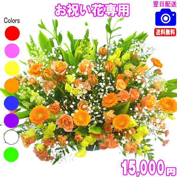 お祝い花専用フラワー15,000円【送料無料】【画像閲覧OK！】【カード付】開店・退職・結婚祝い・新築・出産 フラワー即日発送