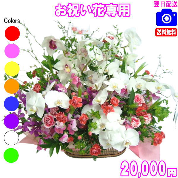 お祝い花専用フラワー20,000円【送料無料】【画像閲覧OK！】【カード付】開店・退職・結婚祝い・新築・出産 フラワー即日発送