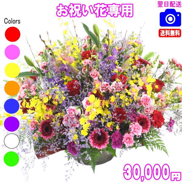 お祝い花専用フラワー30,000円【送料無料】【画像閲覧OK！】【カード付】開店・退職・結婚祝い・新築・出産 フラワー即日発送
