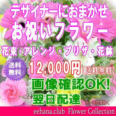 お祝い花専用フラワー12,000円【送料無料】【画像閲覧OK！】【カード付】開店・退職・結婚祝い・新築・出産 フラワー即日発送