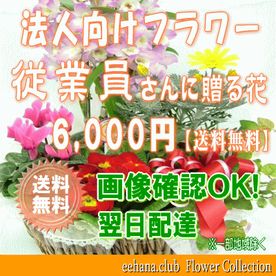法人向けフラワー