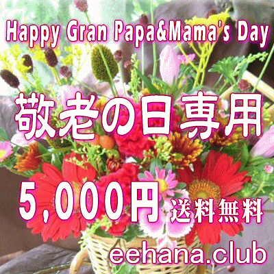 敬老の日専用★デザイナーにおまかせフラワー5,000円【送料無料】ネット特価！