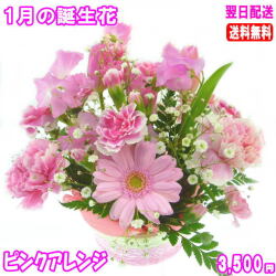 1月の誕生花★ピンクアレンジ3,500円【送料無料】【写真付きメッセージ選択可】ネット特価！！