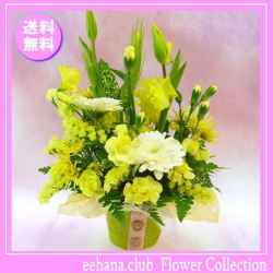 2月の誕生花★イエローアレンジ3,800円【送料無料】花言葉付き【チューリップ】【四つ葉メッセージボトル選択可】ネット特価！！