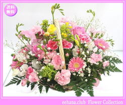 3月の誕生花★プリティーアレンジ花言葉付き5,000円【送料無料】【フリージア】【四つ葉メッセージボトル選択可】ネット特価！！