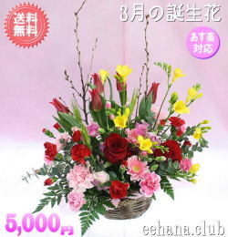 3月の誕生花★ラッキーアレンジ5,000円【送料無料】【花言葉カード付】【フリージア】【15時までのご注文で翌日配送】！