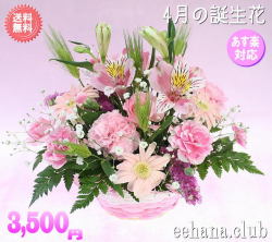 4月の誕生花★ピンクアレンジ3,500円【送料無料】花言葉付き【かすみ草】【四つ葉メッセージボトル選択可】ネット特価！