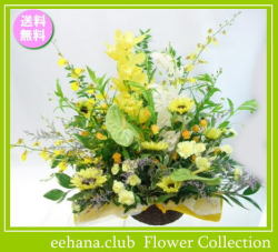 8月の誕生花★ひまわりセーヌアレンジ10,000円【送料無料】花言葉カード付き
