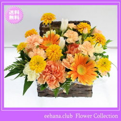 9月の誕生花★オレンジアレンジ3,500円【送料無料】【りんどう】【写真付きメッセージ選択可】ネット特価！！