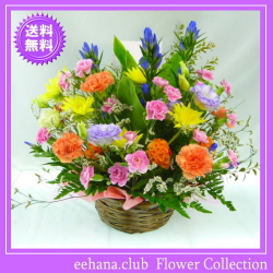 9月の誕生花★ハッピーアレンジ5,000円【送料無料】【りんどう】【写真付きメッセージ選択可】ネット特価！！