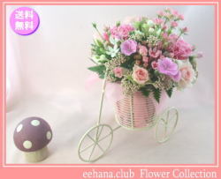 11月の誕生花★サイクルアレンジ4,000円【送料無料】花言葉付き【ブバリア】【写真付きメッセージ選択可】