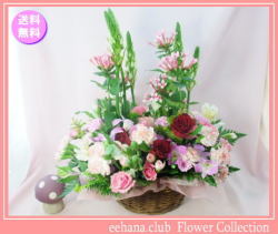 11月の誕生花★ロマンスアレンジ5,000円【送料無料】花言葉付き【ブバリア】【写真付きメッセージ選択可】