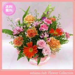 11月の誕生花★カラフルアレンジ3,500円【送料無料】花言葉付き【ブバリア】【写真付きメッセージ選択可】